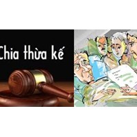 Vợ có được thừa kế thế vị không? Ví dụ thừa kế thế vị