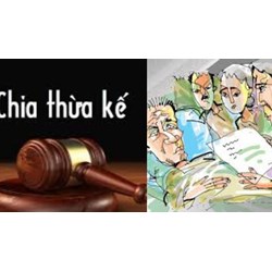 Vợ có được thừa kế thế vị không? Ví dụ thừa kế thế vị