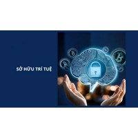 Những chính sách của Nhà nước về sở hữu trí tuệ