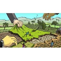 Thẩm quyền giải quyết tranh chấp đất đai không có sổ đỏ?