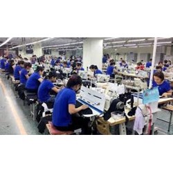 Quyền lợi của lao động nữ được hưởng khi nuôi con nhỏ