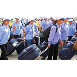 Thủ tục xin miễn giấy phép lao động cho người nước ngoài