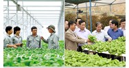 Hợp tác xã là gì? Hợp tác xã có tư cách pháp nhân không?