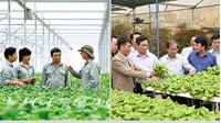 Hợp tác xã là gì? Hợp tác xã có tư cách pháp nhân không?