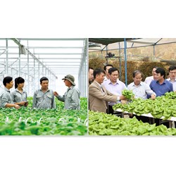 Hợp tác xã là gì? Hợp tác xã có tư cách pháp nhân không?