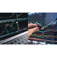 Các trường hợp cổ phiếu bị hủy bỏ niêm yết bắt buộc ?