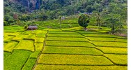 Thủ tục tách thửa đất nông nghiệp theo luật đất đai mới nhất