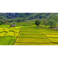 Thủ tục tách thửa đất nông nghiệp theo luật đất đai mới nhất