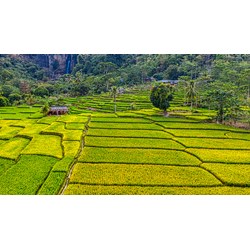 Thủ tục tách thửa đất nông nghiệp theo luật đất đai mới nhất