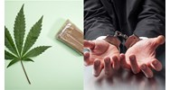 Tàng trữ cần sa bao nhiêu thì khởi tố hình sự?