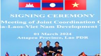 Tam giác phát triển CLV là gì? Cơ chế hợp tác phát triển của CLV