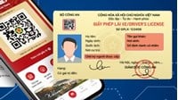 Cách tích hợp thẻ BHYT và giấy phép lái xe vào VNeID