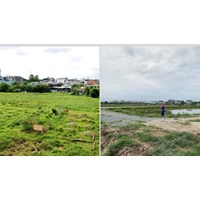 Chuyển nhượng đất không có giấy chứng nhận quyền sử dụng đất