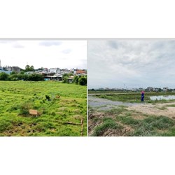 Chuyển nhượng đất không có giấy chứng nhận quyền sử dụng đất