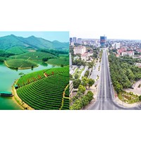 Dịch vụ Luật sư giải quyết tranh chấp đất đai tại Nghệ An