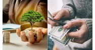 Quy định về hoa lợi lợi tức trong Bộ luật dân sự năm 2015
