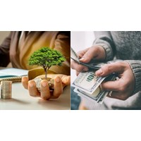 Quy định về hoa lợi lợi tức trong Bộ luật dân sự năm 2015