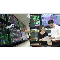 Quy định mới về công bố thông tin của công ty đại chúng