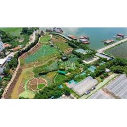 Dịch vụ Luật sư giải quyết tranh chấp đất đai tại Bình Định