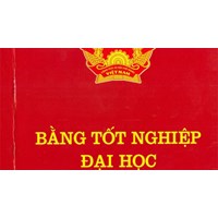 Thủ tục xin cấp lại bằng đại học bị mất