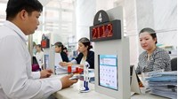 Luật Viên chức mới nhất và tổng hợp các văn bản hướng dẫn