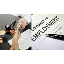 Hợp đồng lao động năm 2024: 08 quy định cần biết