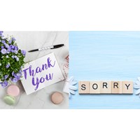 Những câu nói hay về lời cảm ơn và xin lỗi