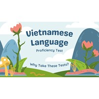 Why Take a Vietnamese Proficiency Test?