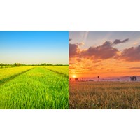 Điểm mới về điều kiện chuyển đổi quyền sử dụng đất nông nghiệp