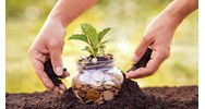 Thời hạn nộp tiền sử dụng đất mới nhất năm 2024