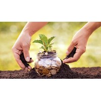 Thời hạn nộp tiền sử dụng đất mới nhất năm 2024