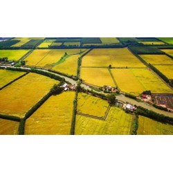 Đất nông nghiệp, đất phi nông nghiệp là gì?
