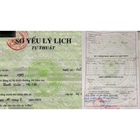 Hướng dẫn ghi sơ yếu lý lịch sinh viên mới nhất năm 2024