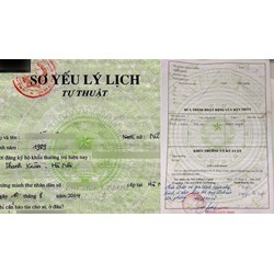 Hướng dẫn ghi sơ yếu lý lịch sinh viên mới nhất năm 2024