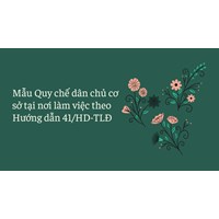 Mẫu Quy chế dân chủ cơ sở tại nơi làm việc theo Hướng dẫn 41/HD-TLĐ