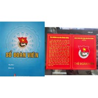 Mất Sổ đoàn viên, Thẻ đoàn viên làm lại như thế nào?