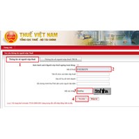Cách tra cứu mã chương, tiểu mục nộp thuế môn bài năm 2024