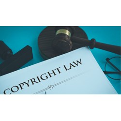 Chủ sở hữu quyền tác giả có thể có các quyền nào?