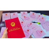 Hướng dẫn thủ tục đính chính sổ đỏ online mới nhất 2024