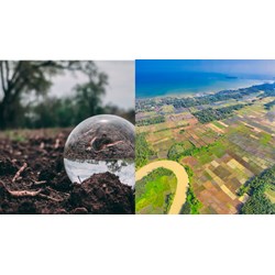 Được giao đất không thu tiền sử dụng đất khi nào?