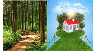 Chuyển đổi đất trồng cây lâu năm sang đất ở, lên thổ cư?