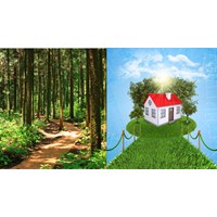 Chuyển đổi đất trồng cây lâu năm sang đất ở, lên thổ cư?