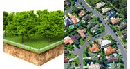 Hạn mức chuyển đổi đất trồng cây lâu năm sang đất ở?