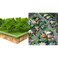 Hạn mức chuyển đổi đất trồng cây lâu năm sang đất ở?