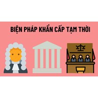 Phân tích 17 biện pháp khẩn cấp tạm thời trong tố tụng dân sự