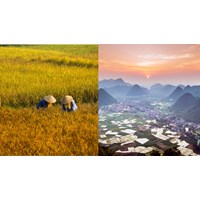 Cách tính tiền thuê đất khi chuyển đất phi nông nghiệp sang đất ở?