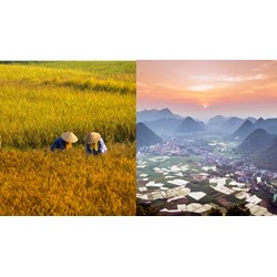 Cách tính tiền thuê đất khi chuyển đất phi nông nghiệp sang đất ở?