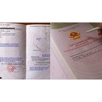 Các loại giấy tờ làm căn cứ cấp sổ đỏ theo Luật Đất đai 2024