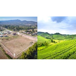 Luật Đất đai 2024 quy định thời hạn sử dụng đất đối với trường hợp chuyển mục đích sử dụng từ đất phi nông nghiệp sử dụng ổn định, lâu dài sang đất phi nông nghiệp sử dụng có thời hạn là bao lâu?