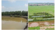 Hướng dẫn xác định tiền thuê đất, thuê mặt nước mới nhất